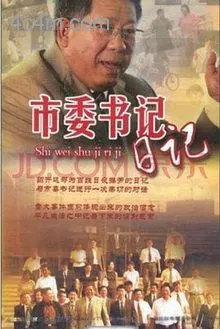 市委书记日记
