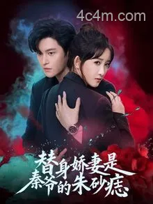 替身娇妻是秦爷的朱砂痣