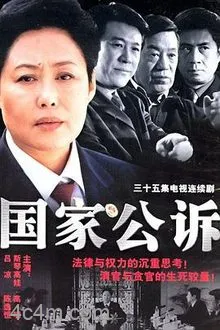 国家公诉电影解说