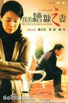 我的糟糠之妻