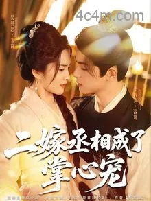 二嫁丞相成了掌心宠