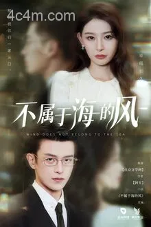 不属于海的风