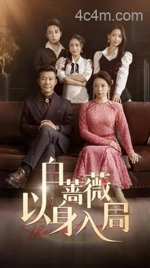 白蔷薇以身入局