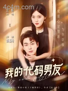 我的代码男友