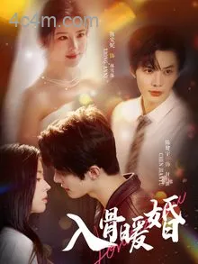 入骨暖婚