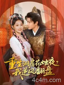 重生洞房花烛夜,我逆风翻盘