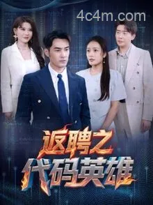 返聘之代码英雄