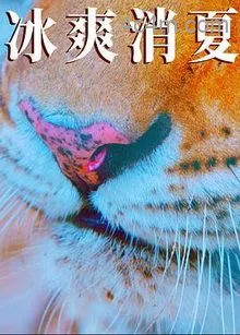 寒冰白血