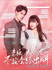 老板夫人她不按套路出牌