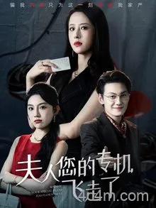 夫人您的专机飞走了