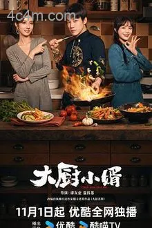 大厨小婿