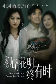 柳暗花明终有时