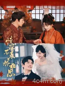 情深不寿烬相思