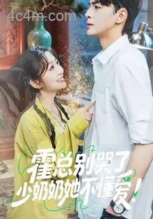 霍总别哭了少奶奶她不懂爱