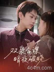 双枭合谋暗夜破晓