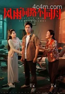 风雨同居不同舟