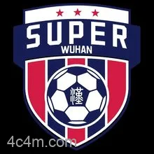 武汉城市足球超级联赛江岸区3.0新洲区20250830
