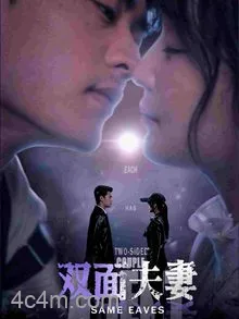 双面夫妻