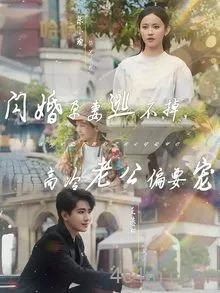 闪婚孕妻逃不掉，高冷老公偏要宠