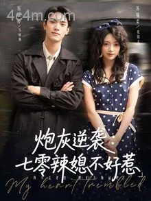 炮灰逆袭七零辣媳不好惹