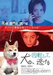 狗转了一圈逃跑了