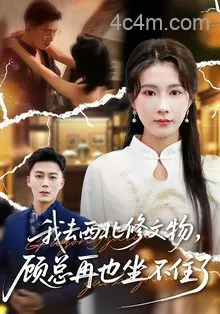 我去西北修文物，顾总再也坐不住了