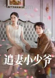 追妻小少爷