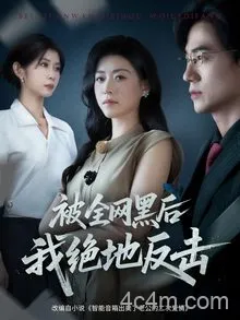 被全网黑后我绝地反击