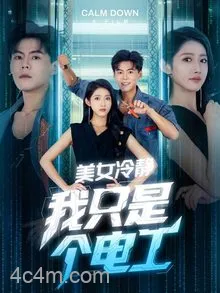 美女冷静我只是个电工