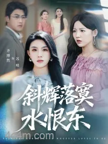 斜辉落寞水恨东