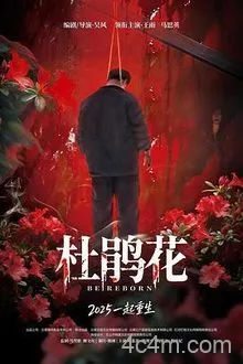 杜鹃花