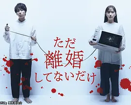 只是没离婚而已