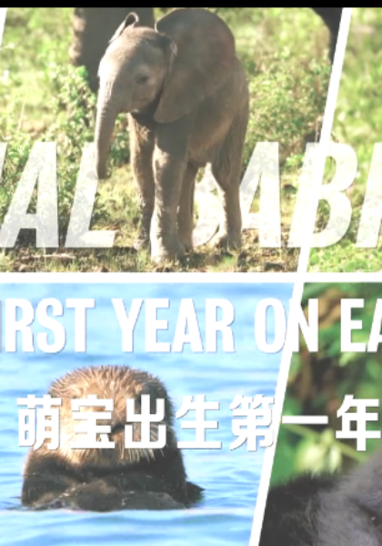 萌宝出生第一年