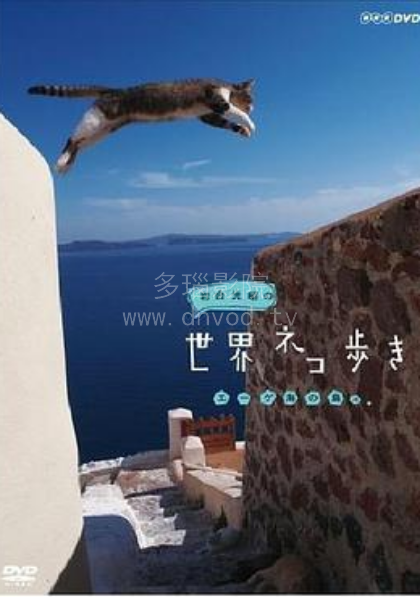 岩合光昭的猫步走世界