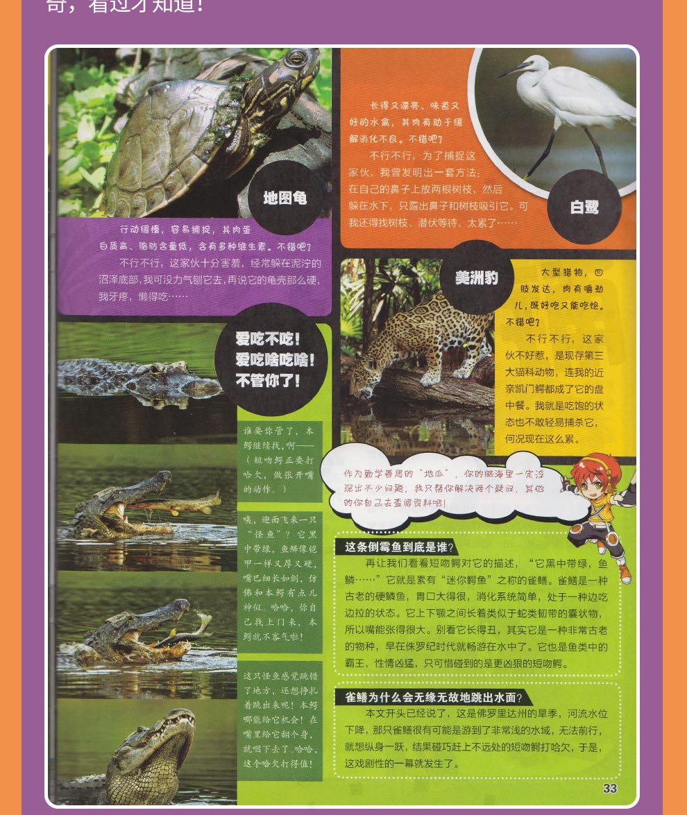 探索地理杂志 少儿科普期刊 2022年1月起订阅 杂志铺
