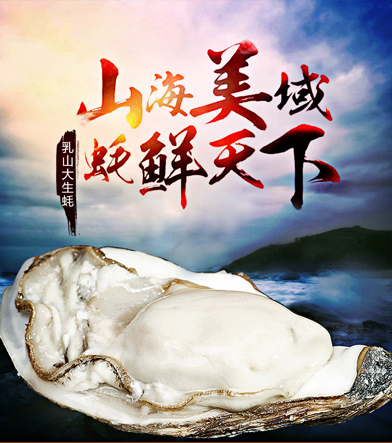 昊金水产 鲜活生蚝 乳山深海海域 带壳鲜活牡蛎 大海蛎 50g~100g/个