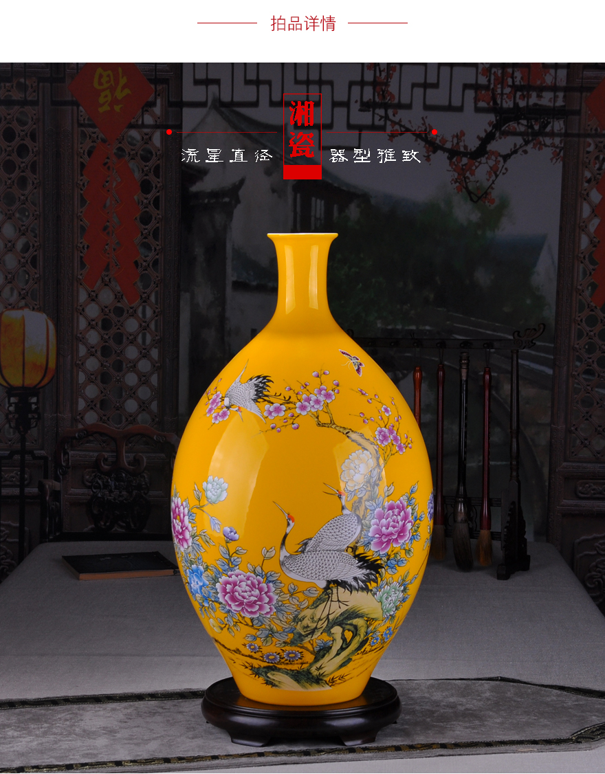 拍品详情