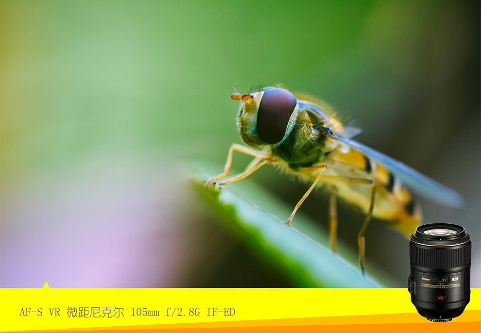 尼康(nikon)微距定焦镜头单反相机af-s vr 105mm百微 60mm f/2.