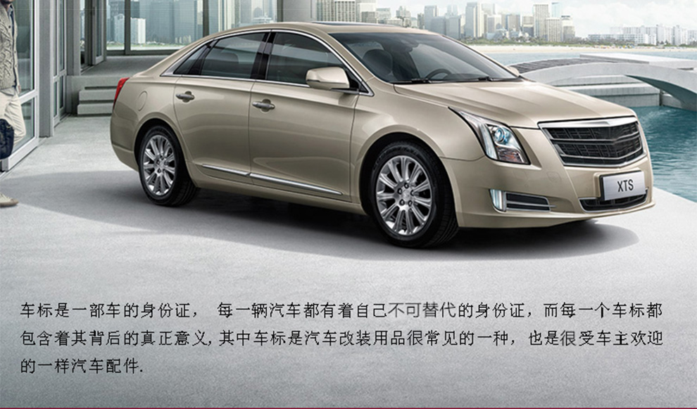 斯柯达车标明锐速派昕锐金属车标昕动晶锐昊锐改装汽车车头标车贴立标