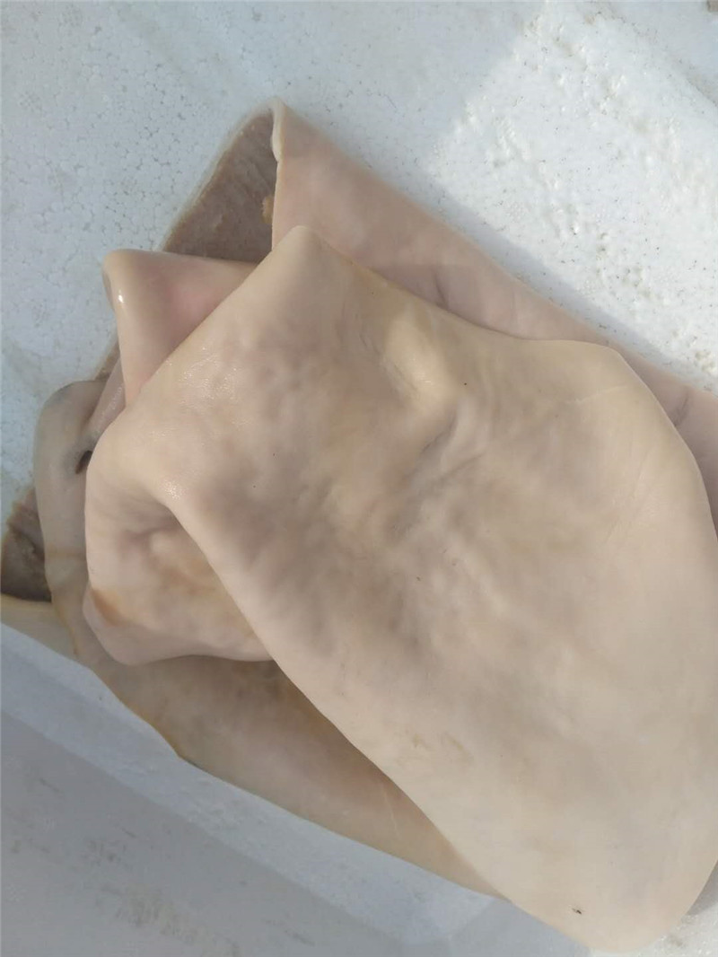 驴皮 新鲜生驴皮 真空去毛驴皮 新鲜现杀 阿胶熬制原料 顺丰 大菜园