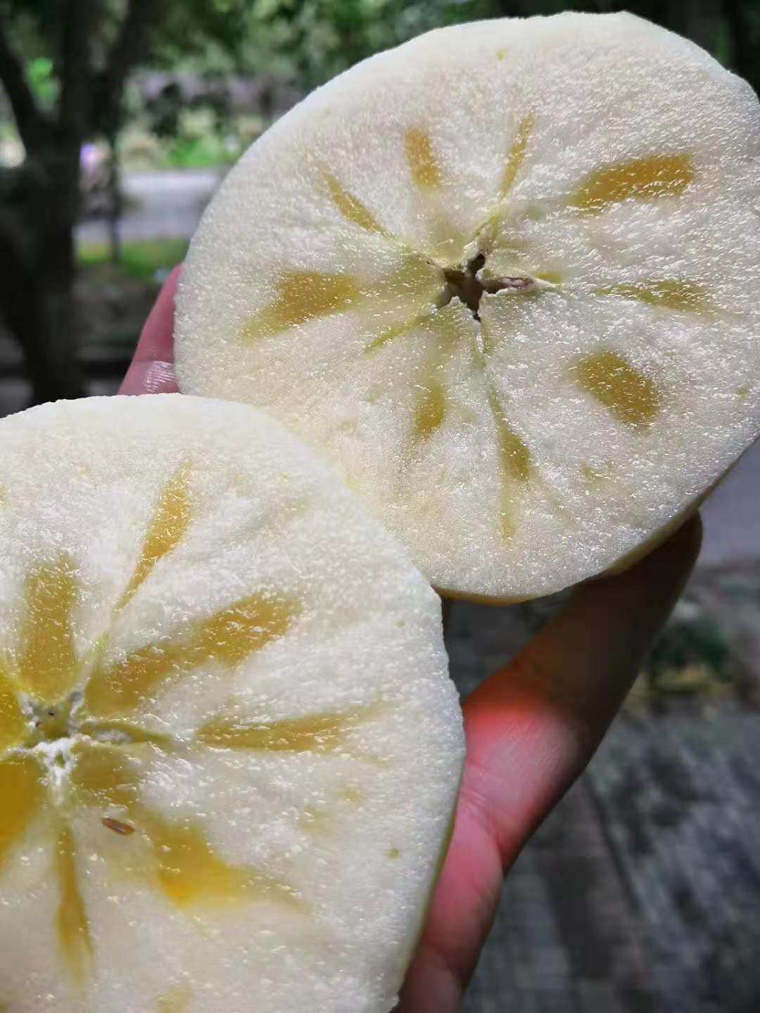 【临汾馆】新疆阿克苏冰糖心苹果 15度糖心 约4kg80-90mm大果