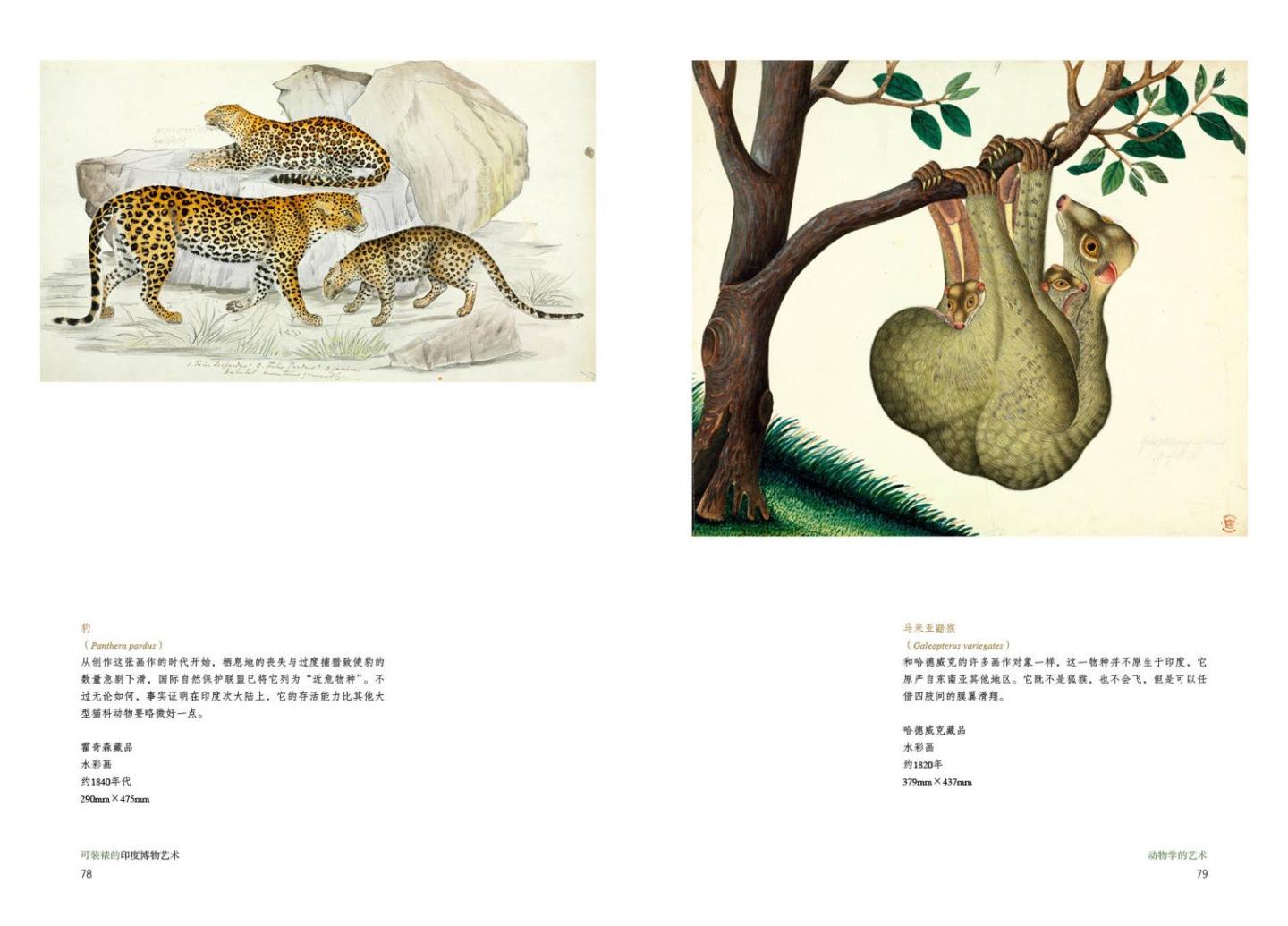 印制很精美，彩图清楚，看着不错，有意思，还有一本对应是中国的博物艺术。