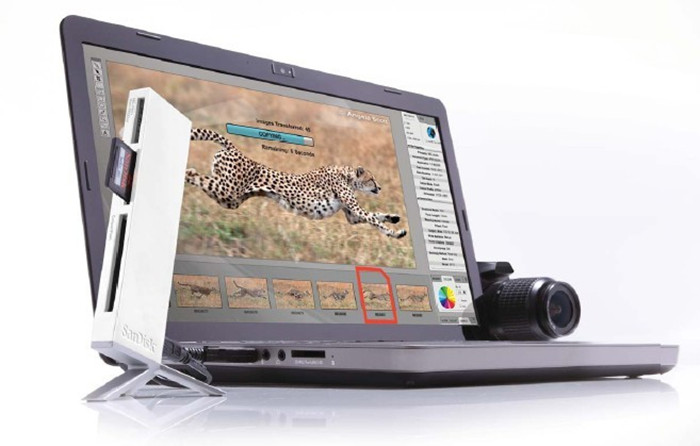 
                                                                                闪迪（SanDisk）64GB SD存储卡 U3 C10 V30 4K 至尊超极速版内存卡 读速170MB/s 写速90MB/s 捕捉4K超高清                