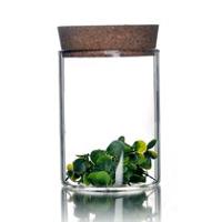 
                                        heisou 密封茶叶罐415ml软木盖透明玻璃茶道用具 储物罐 茶具配件KC187                