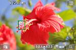 
                                        佳能（Canon） EOS 100D 单反机身                