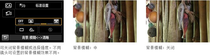 
                                        佳能（Canon） EOS 100D 单反机身                