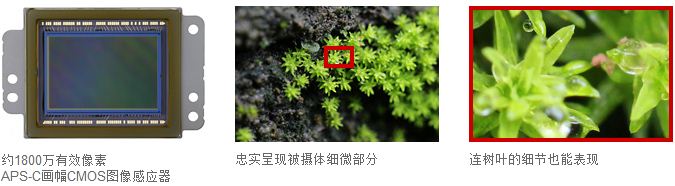 
                                        佳能（Canon） EOS 100D 单反机身                