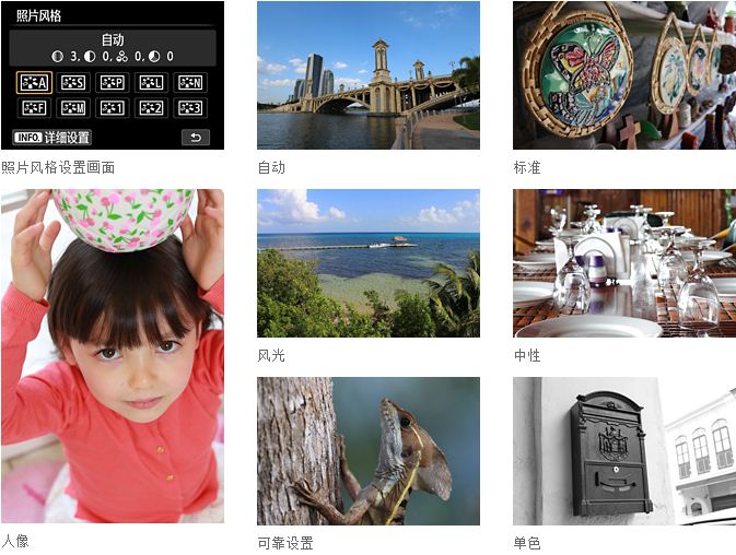 
                                        佳能（Canon） EOS 100D 单反机身                
