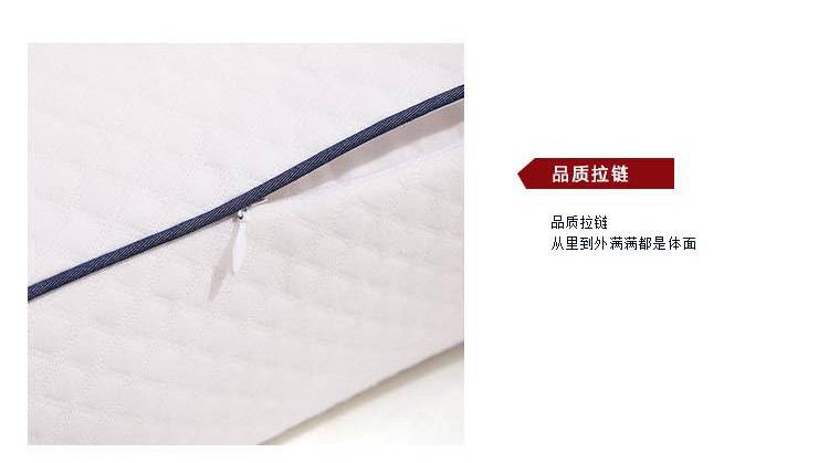 LOVO 罗莱床品家纺 西部青年靠垫(含芯)50*50