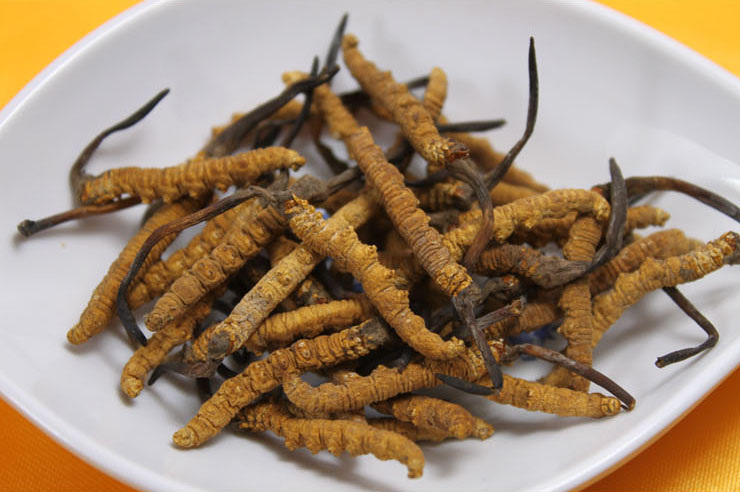 铭德堂冬虫夏草王10g